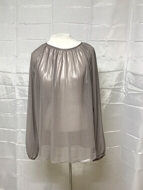 Prologue Semi Sheer Metallic Taupe Long Sleeve Shirred Tie Crew Neck Y2K Top Med